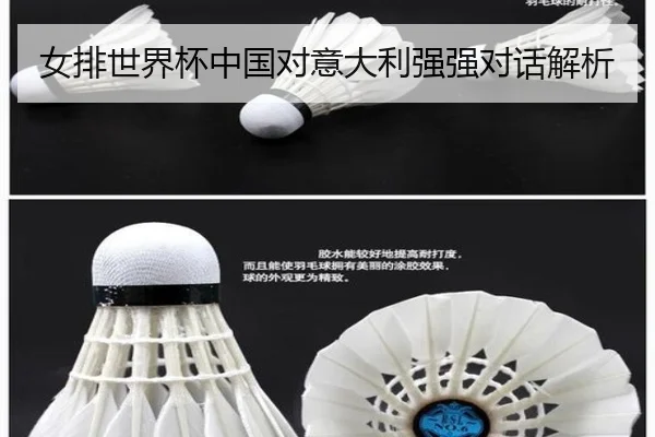 女排世界杯中国对意大利强强对话解析